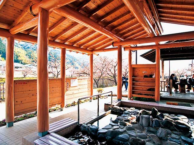 河津桜まつりのベストスポットはここ!