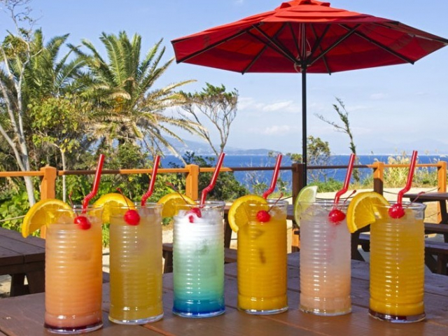 【伊豆・初島×体験】こちらも人気② アジアンガーデン R-Asia