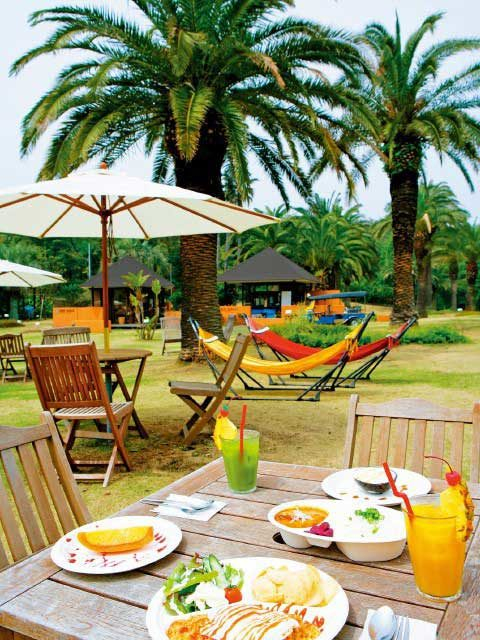 【伊豆・初島×体験】こちらも人気② アジアンガーデン R-Asia