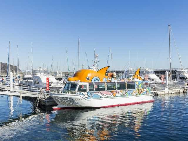 海中展望船はるひら丸イルカ号