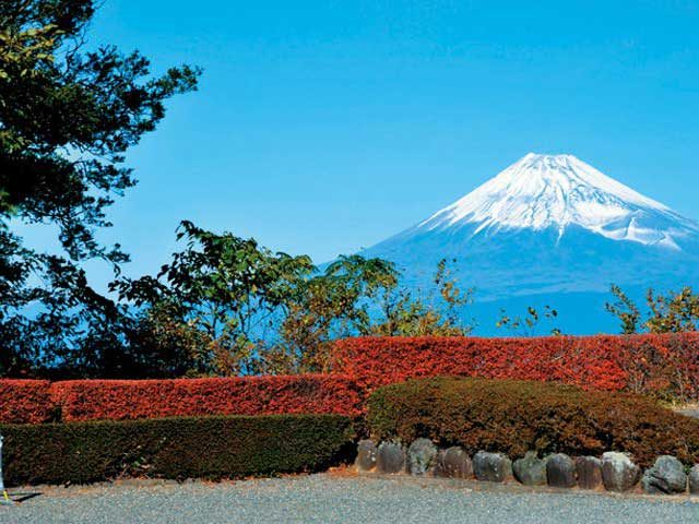 【西伊豆×ドライブ】だるま山高原レストハウス