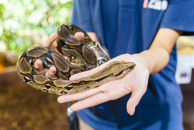 いっぱい触れるよ