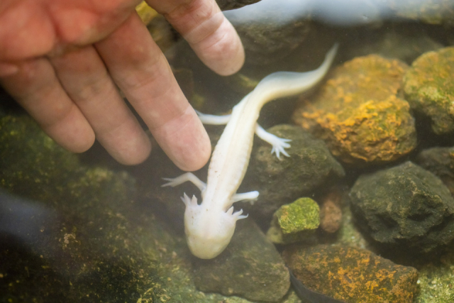 いっぱい触れるよ