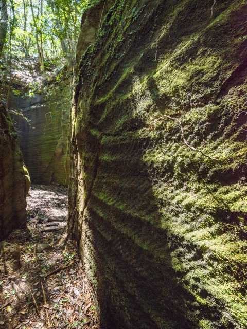 カノー伝説ツアー