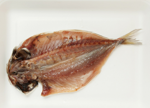 網代のショッピングスポット:いとう漁協網代支所 網代港直売所