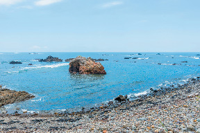 【南伊豆・下流海岸】新発見1 干潮時に出現する潮だまりは岩場に囲まれ、まさにプール