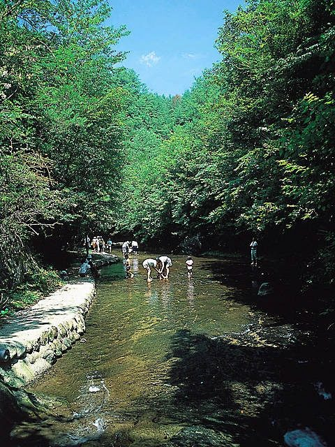 【大分・宇佐観光×絶景】素足で沢歩きが楽しめる「岳切渓谷」