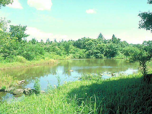 動植物を眺めながら散策を「牛久自然観察の森」