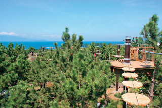 【伊豆・初島×体験】こちらも人気① 初島アドベンチャーSARUTOBI