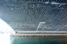 海上からの景色を楽しむ