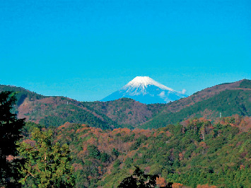 新発見4 川のせせらぎを聞きながら東府やガーデンでリフレッシュ