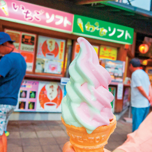 【伊豆×ソフトクリーム&アイスクリーム】いちごプラザ(ストロベリーハウス)