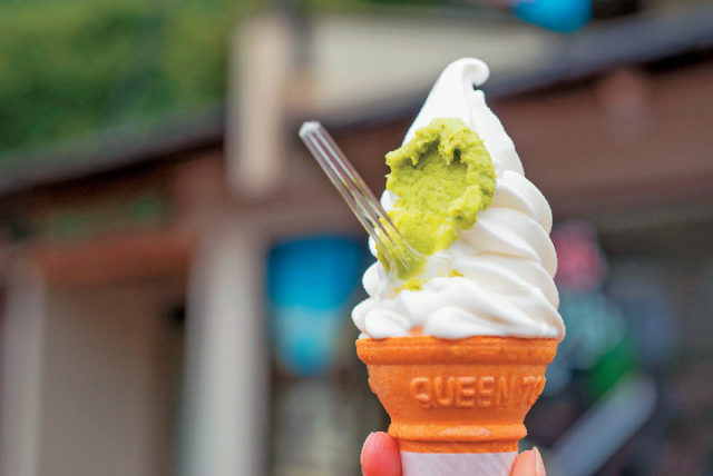 【伊豆×ソフトクリーム&アイスクリーム】天城わさびの里 道の駅「天城越え」内