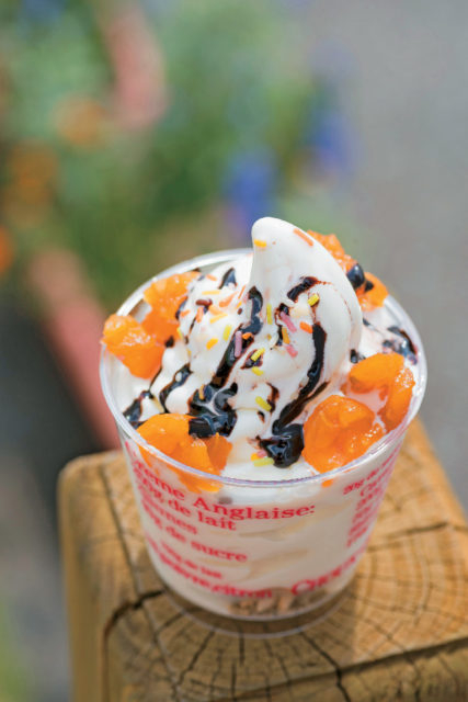 【伊豆×ソフトクリーム&アイスクリーム】グリーンヒル土肥