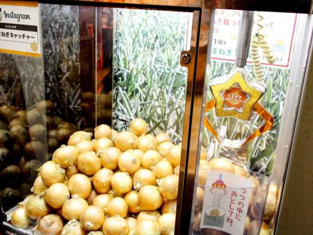 「うずの丘大鳴門橋記念館」へ行ってみよう!