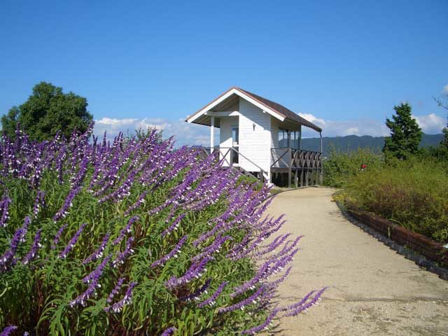 香りに導かれて公園を散歩「淡路市立香りの公園」