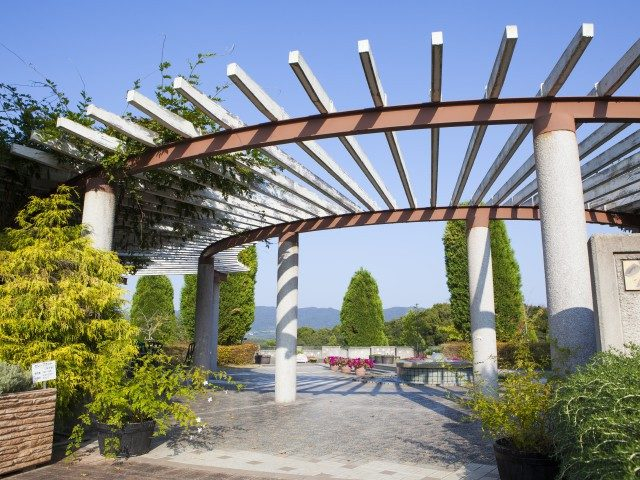 香りに導かれて公園を散歩「淡路市立香りの公園」