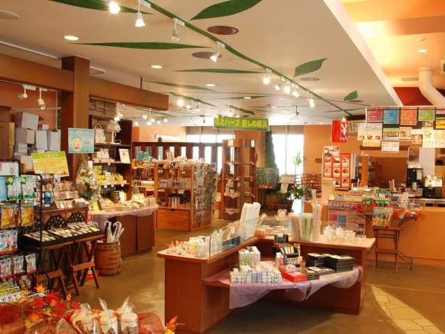 【淡路市・東海岸×グルメ】島の味とくつろぎのひととき「TOM’S STUDIO」