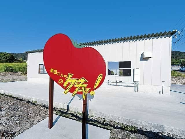 【淡路市・西海岸×ショッピング】風味きわ立つトマトケチャップ「新田農園」