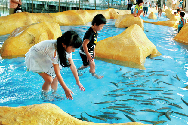 伊豆・三津シーパラダイスなら…イルカや動物と遊べる