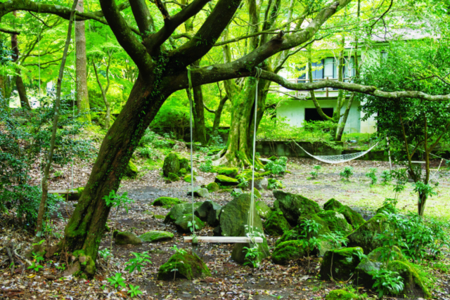【霧島×グルメ&カフェ】地鶏炭火焼 古里庵 霧島店