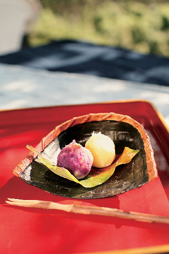 【淡路市・西海岸×観光】四季折々の風情が楽しめる癒しの空間「あわじ花の歳時記園(あじさい園)」