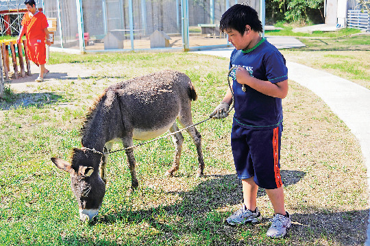 【淡路市・西海岸×観光】宿泊施設を備えた観光牧場「淡路カントリーガーデン」