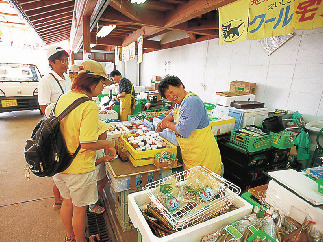 【壱岐観光×立ち寄りスポット】産地直送の山海の幸が並ぶ「勝本朝市」