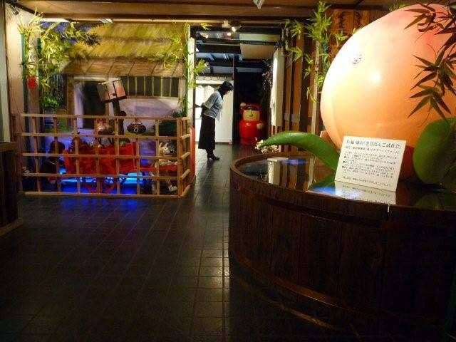 桃太郎のからくり博物館