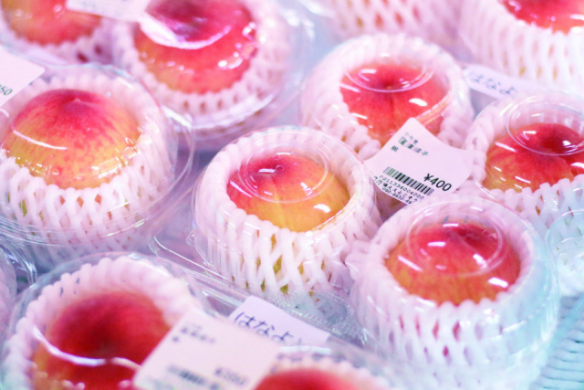 国民宿舎サンロード吉備路