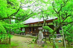 【箱根湯本の観光スポット】早雲寺