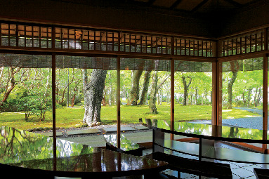 【強羅で人気の観光スポット】箱根美術館