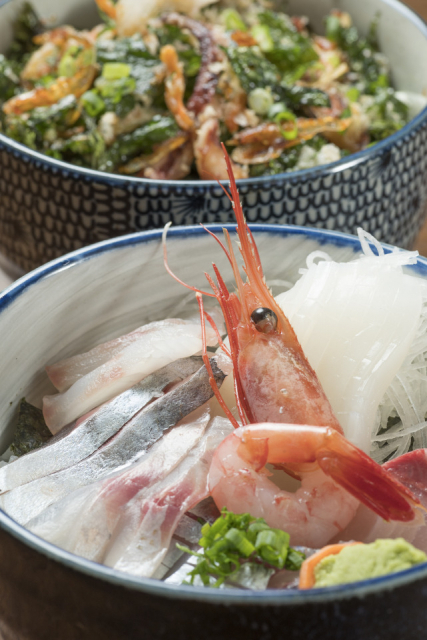 【伊豆・初島×観光】初島食堂街