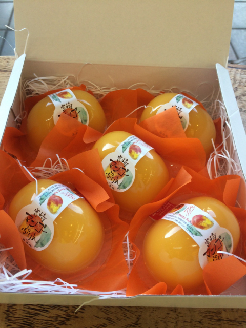 マンゴーぷりん