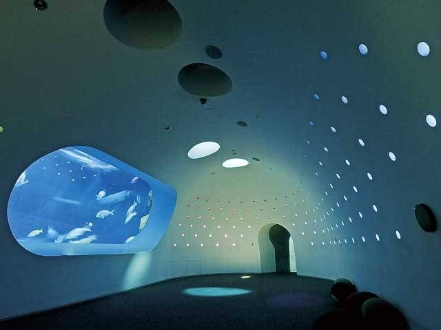 【大分観光のおすすめモデルコース】大分タウン・別府・国東半島をドライブ!1日目