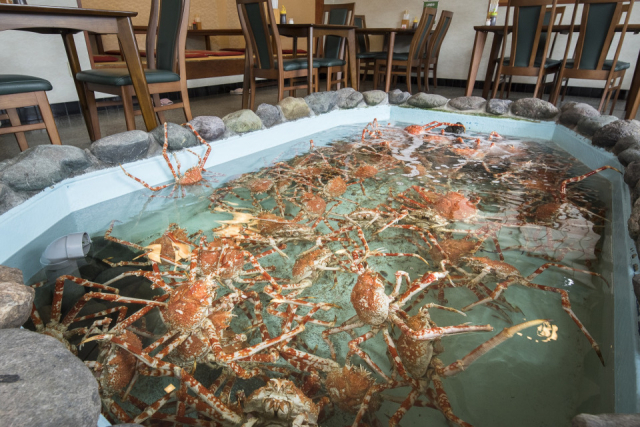 新発見3 深海育ちのエビや魚はひと味ちがう!