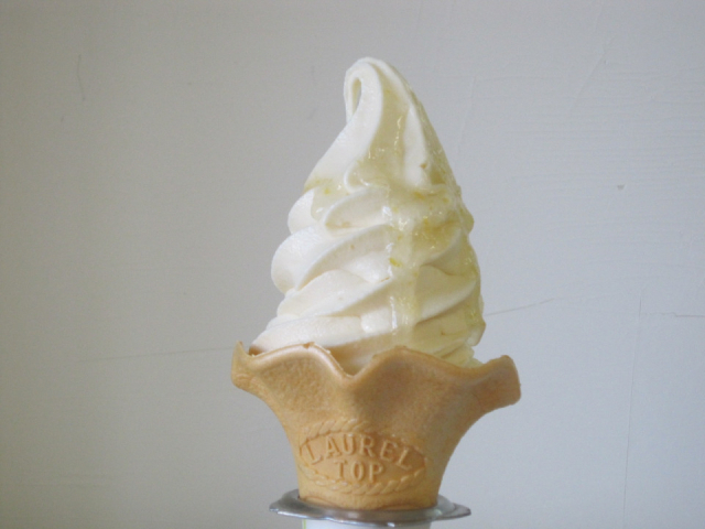 【日南海岸ドライブ】道の駅 フェニックス