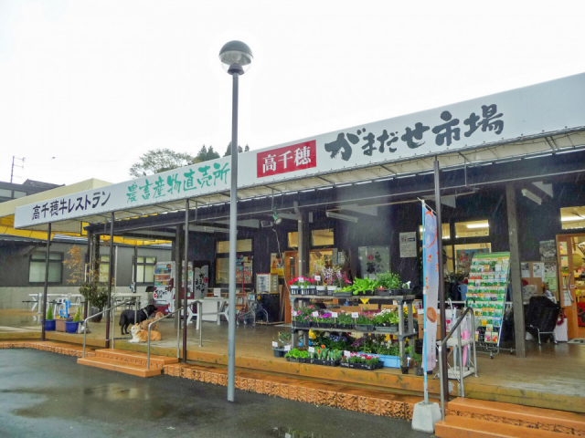 【パワースポットめぐりの立ち寄りスポット】高千穂がまだせ市場