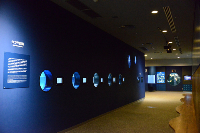 【鹿児島市内観光おすすめスポット】いおワールド かごしま水族館