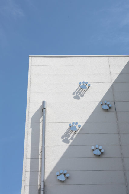 【淡路市・東海岸×観光】ほっこり気分になれる猫の美術館「淡路市立中浜稔猫美術館」