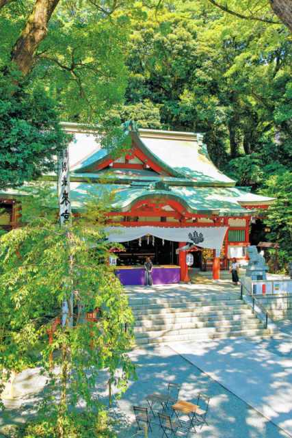 來宮神社について知ろう