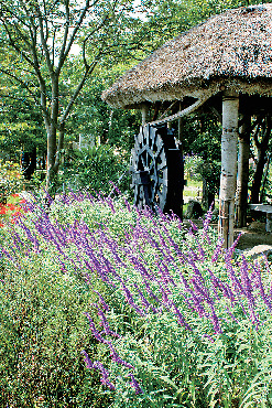 プロムナードガーデンと花木林苑も必見!
