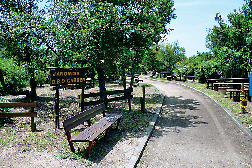 山と海に囲まれた広大なリゾートステイ「淡路じゃのひれオートキャンプ場」