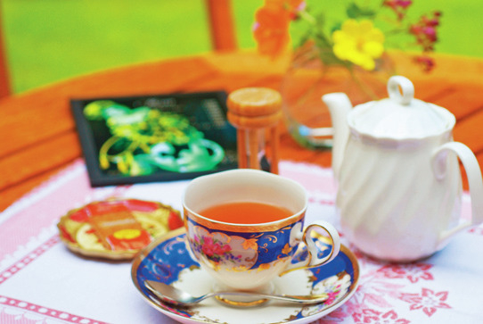 野坂オートマタ美術館