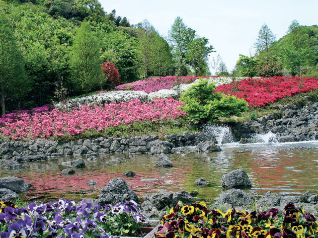 【淡路島・花の名所】県立淡路島公園 人気のポイント