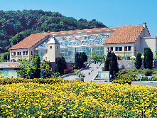 【淡路島・花の名所】県立淡路島公園 淡路SAからの行き方