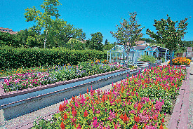 ガーデニングのヒントにあふれたキャンパス「兵庫県立淡路景観園芸学校アルファガーデン」