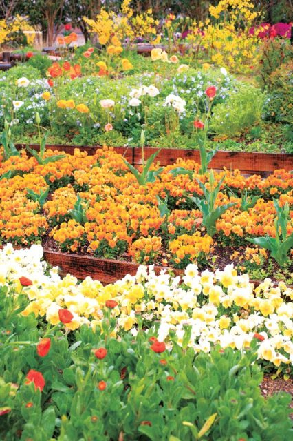 ガーデニングのヒントにあふれたキャンパス「兵庫県立淡路景観園芸学校アルファガーデン」