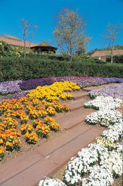 ガーデニングのヒントにあふれたキャンパス「兵庫県立淡路景観園芸学校アルファガーデン」