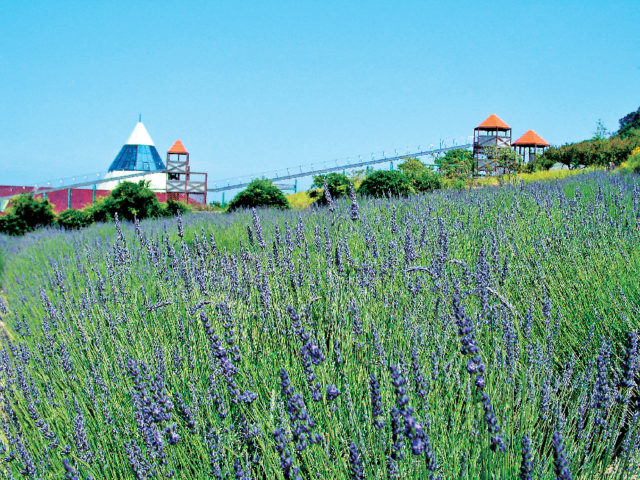 香りの文化を体験できるテーマパーク「パルシェ香りの館」